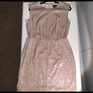 J Crew Sparkly dress!